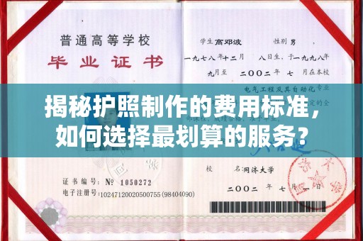 乡城揭秘护照制作的费用标准，如何选择最划算的服务？